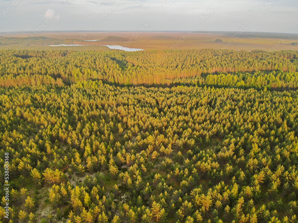 Flight over summer field with country gravel road near forest. Aerial drone view. Flying over.