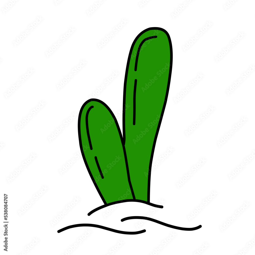 desert cactus doodle desert cactus doodle