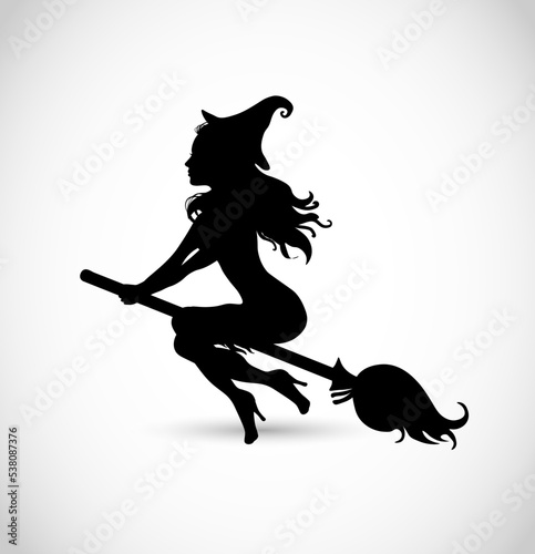 Beautiful attractive witch flying on a broomstick vector illustration