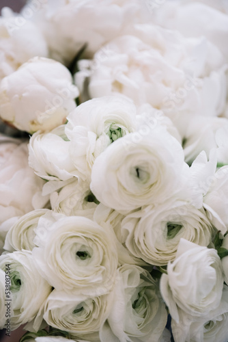 Beautiful blossoming white Ranunculus flowers horizontal texture  close up view