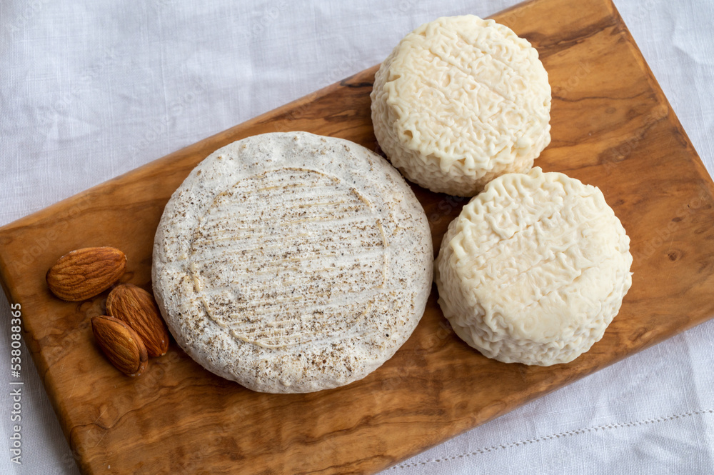 Taste of France, small round cheese Tome de Provence and matured small goat cheeses, Alpes-de-Haute-Provence, France Taste of France, small round cheese Tome de Provence and matured small goat cheeses, Alpes-de-Haute-Provence, France