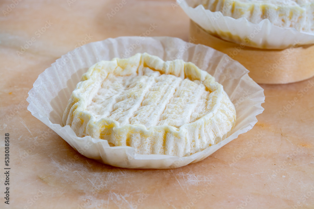 French cheeses Rocamadour served on marble board French cheeses Rocamadour served on marble board