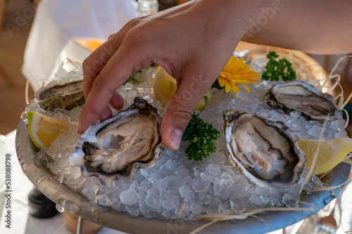 Eating of fresh live oysters seafood served on ice with lemon in French restaurant