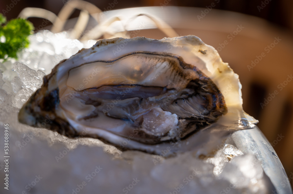 Fresh open oysters seafood served on ice with lemon in French restaurant Fresh open oysters seafood served on ice with lemon in French restaurant