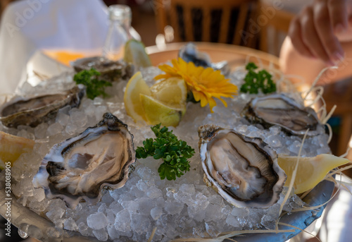 Fresh open oysters seafood served on ice with lemon in French restaurant photo