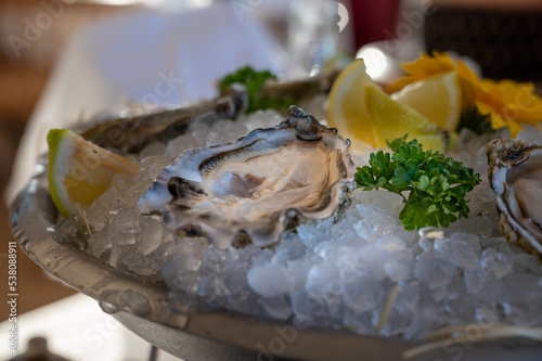 Fresh open oysters seafood served on ice with lemon in French restaurant photo