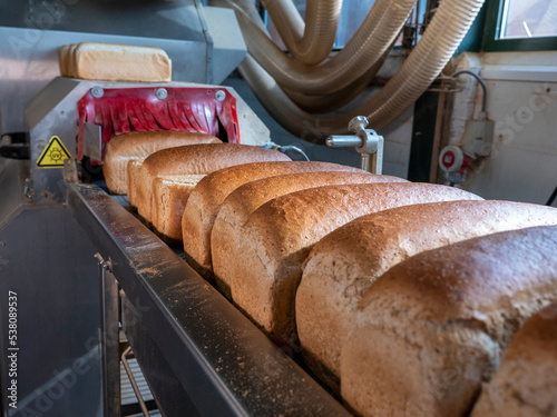 Bread on a conveyor belt in a bakery factory