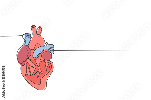 One continuous line drawing of anatomical human heart organ. Medical internal anatomy concept. Modern single line draw trendy design vector illustration