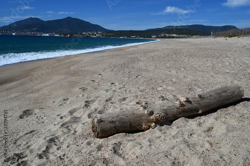 Tronc d'arbre sur la plage du Ricanto dans la baie d'Ajaccio photo