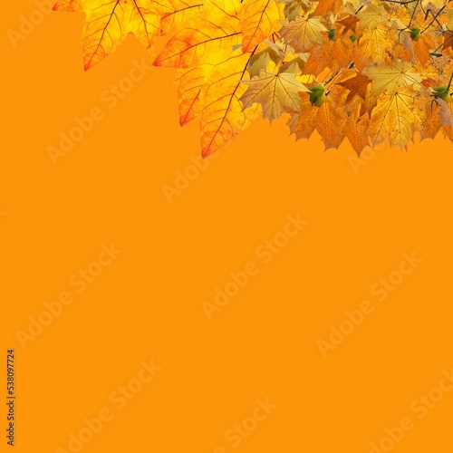 Fall themed Background  with Leaves against Red  Yellow end Color Orange