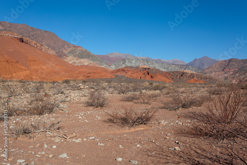 Red rocks of Quebrada de Cafayate, Salta, Argentina, South America