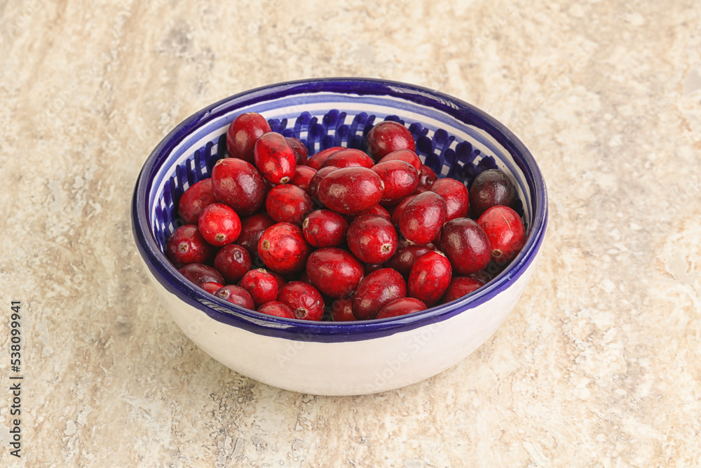 Ripe sweet tasty cranberry in the bowl Ripe sweet tasty cranberry in the bowl