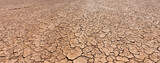 drought cracked landscape, dead land due to water shortage