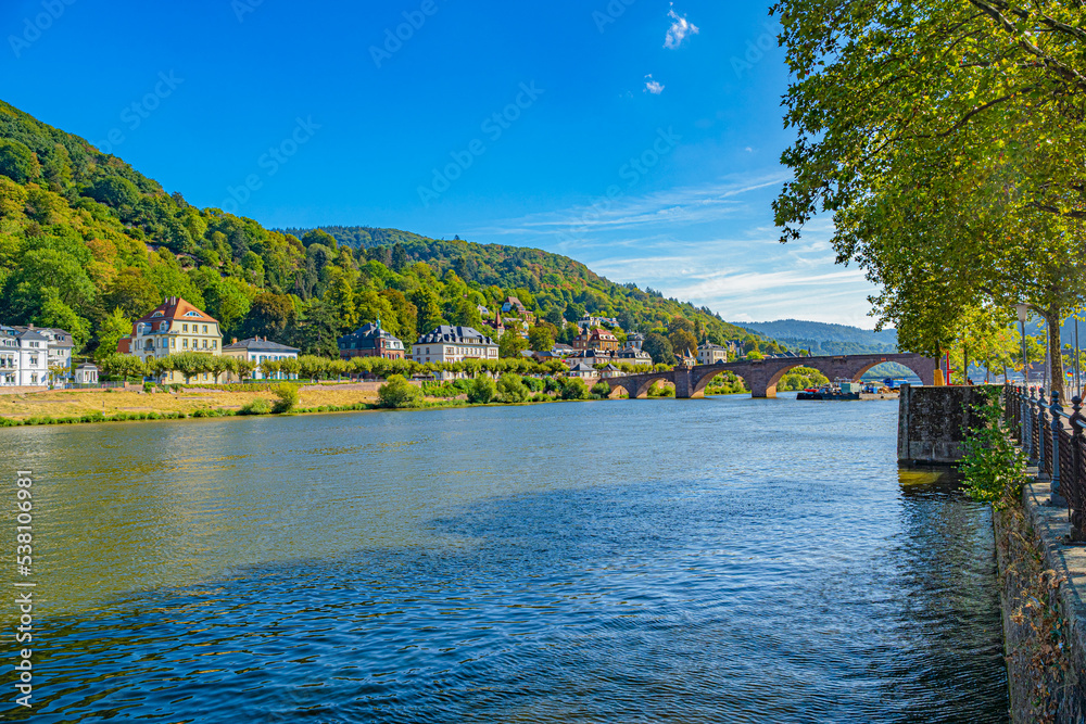 The banks of the Neckar with the old bridge of Heidelberg_, Baden Wuerttemberg, Germany, Europe