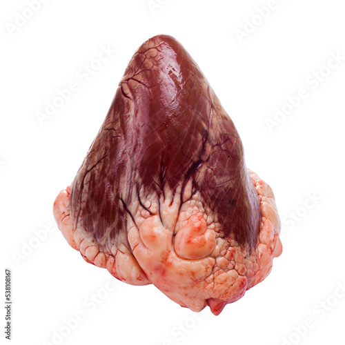 raw beef heart isolated on white