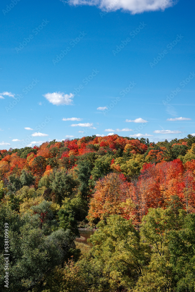 fall colors in the mountains