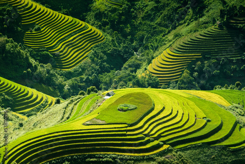Rice fields on terraces in Mu Cang Chai, Vietnam