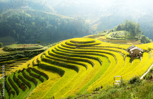 Rice fields on terraces in Mu Cang Chai, Vietnam