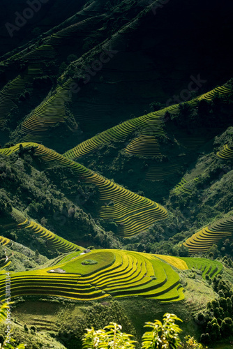 Rice fields on terraces in Mu Cang Chai, Vietnam