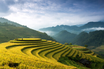 Handdoek met foto Rijstvelden Rijstterrassen berglandschap Mu Cang Chai  © cristaltran
