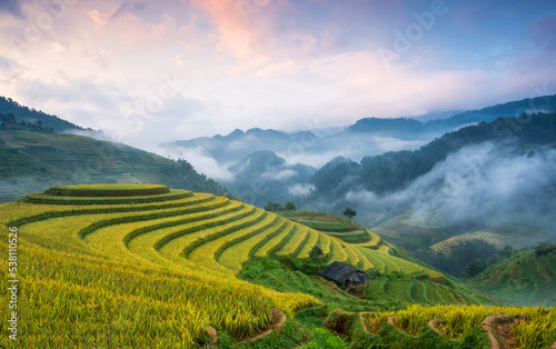 Rice fields on terraces in Mu Cang Chai  Vietnam