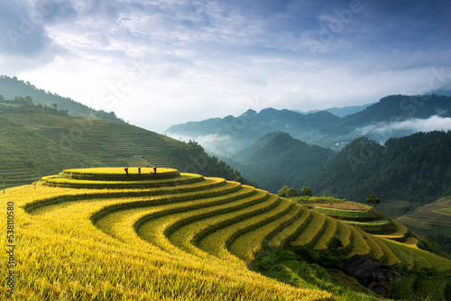 Rice fields on terraces in Mu Cang Chai  Vietnam