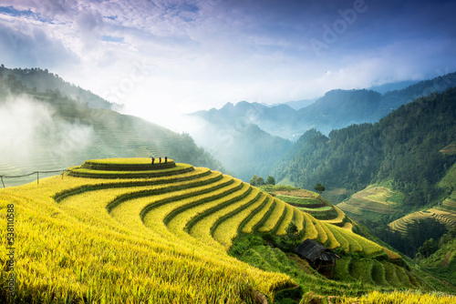 Rice fields on terraces in Mu Cang Chai, Vietnam photo