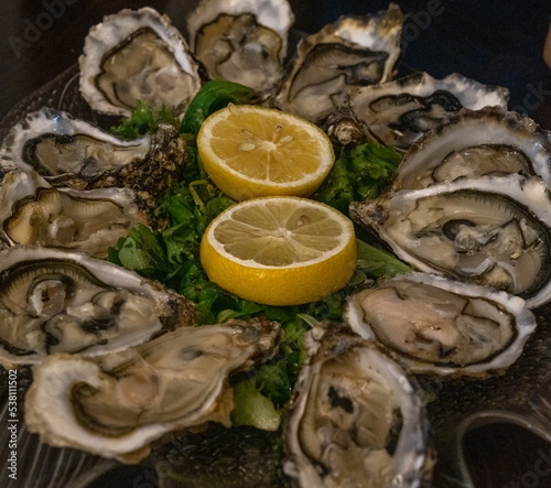 close-up view of a dozen fresh Carlingford oysters and lemon halves on lettuce photo