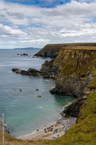 small beach and cove with common seals nestled in the cliffs of the St. Ives Bay coastline