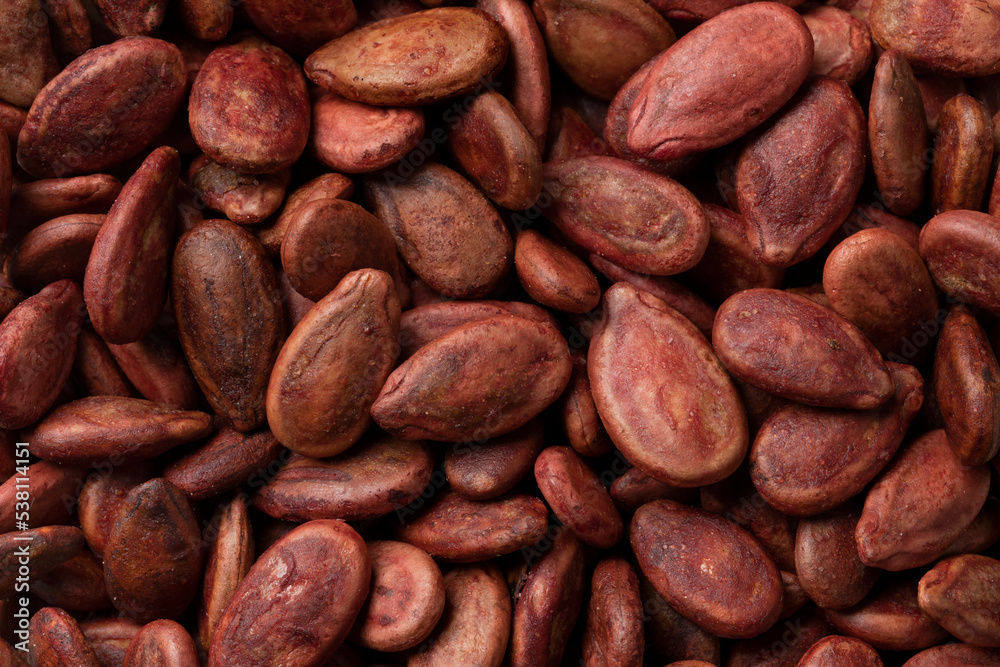 Dried watermelon seeds close up full frame as background Dried watermelon seeds close up full frame as background