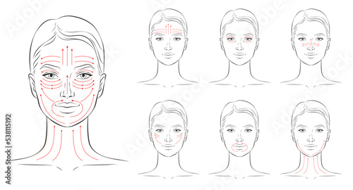 Face massage lines. Facial massage instructions, vector illustration