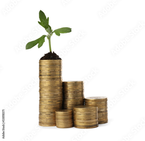 Stacks of coins and green plant on white background. Investment concept