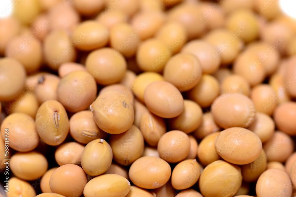 Chinese yellow soybeans in a closeup Chinese yellow soybeans in a closeup