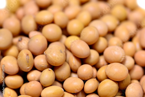 Chinese yellow soybeans in a closeup