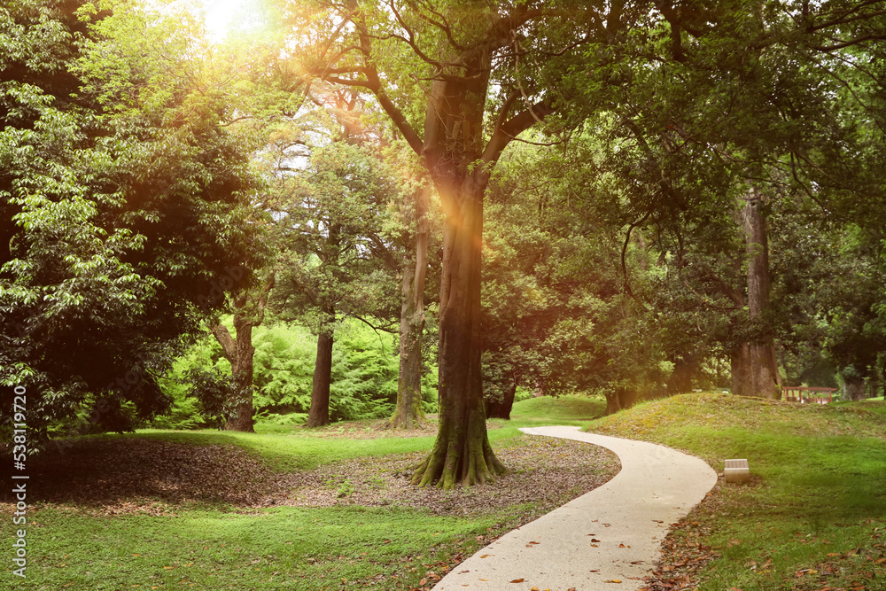 Picturesque view of tranquil park with paved pathway