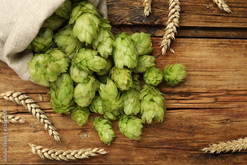 Sack with fresh green hops and wheat ears on wooden table, flat lay Sack with fresh green hops and wheat ears on wooden table, flat lay