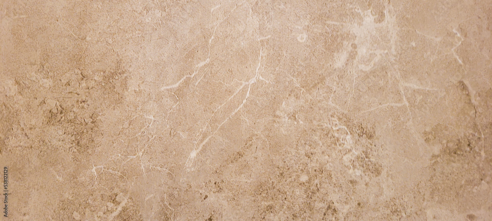 Obraz premium background with brown earthy texture