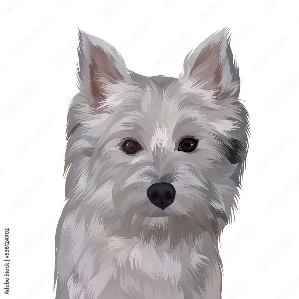 Cute dog photo with transparent background Cute dog photo with transparent background