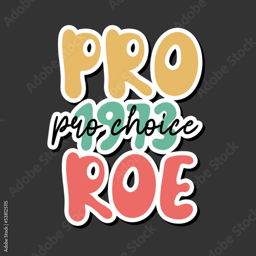 Pro 1973 Roe, pro choice. Women's Rights 1973 Protect Roe V Wade. Vector retro poster