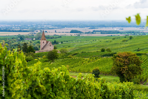L'église fortifiée de Hunawihr au cœur du vignoble alsacien, CEA, Alsace, Grand Est, France