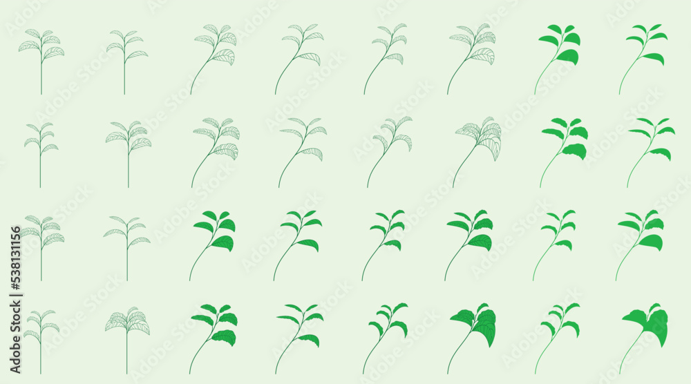 Design elements 2.
Set 24. Collection of frame leaf and tree vector