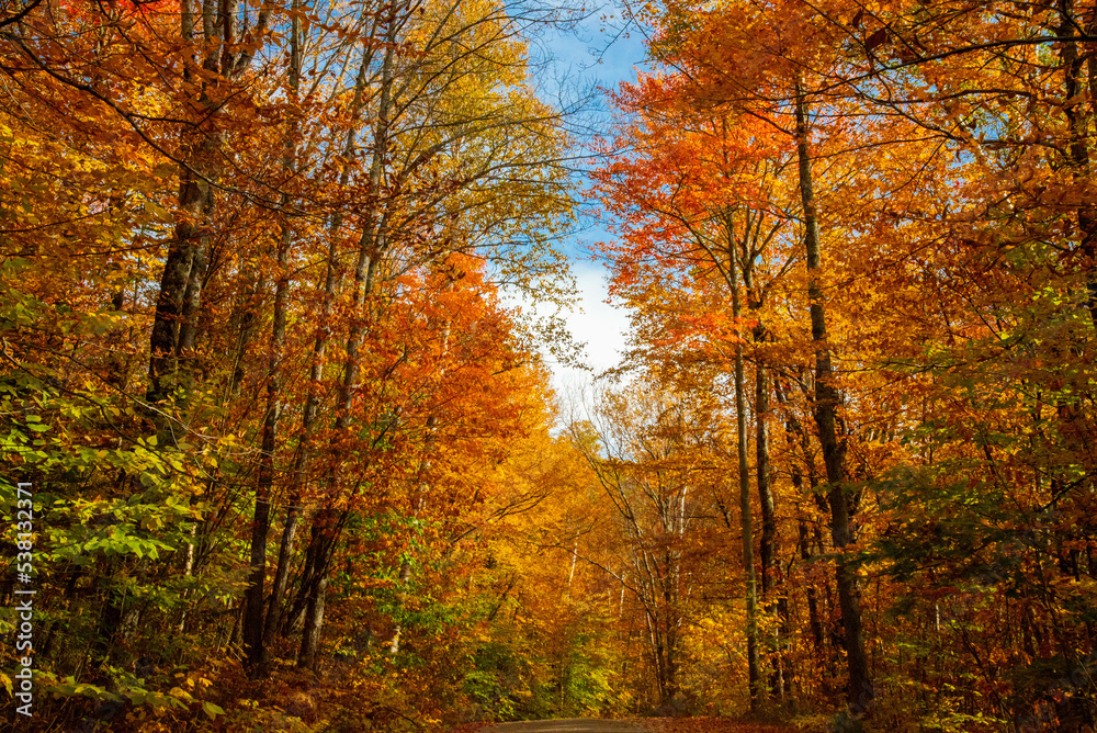 New England Autumn Landscape