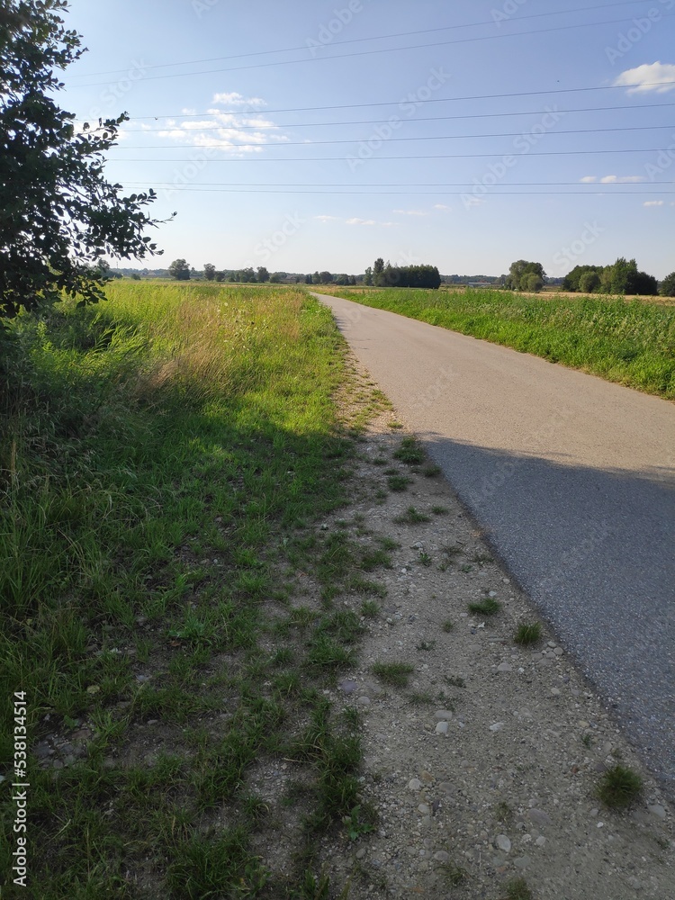 road in the middle of field in Poland