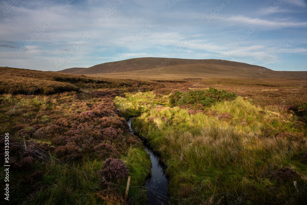 Expansive Irish peat landscape adorned in warm autumn colours.