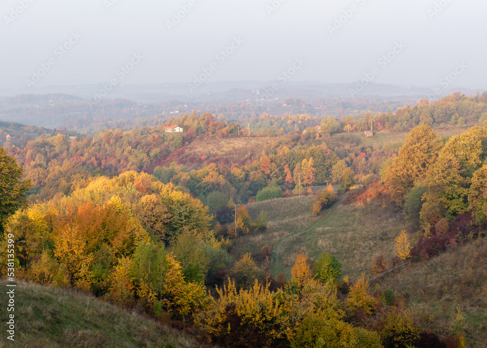 Hilly village landscape with colorful forest in morning
