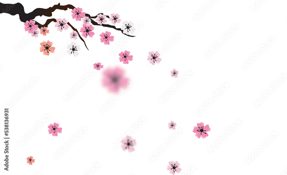 PNG Blossoming sakura branch isolated on transparent background. PNG illustration