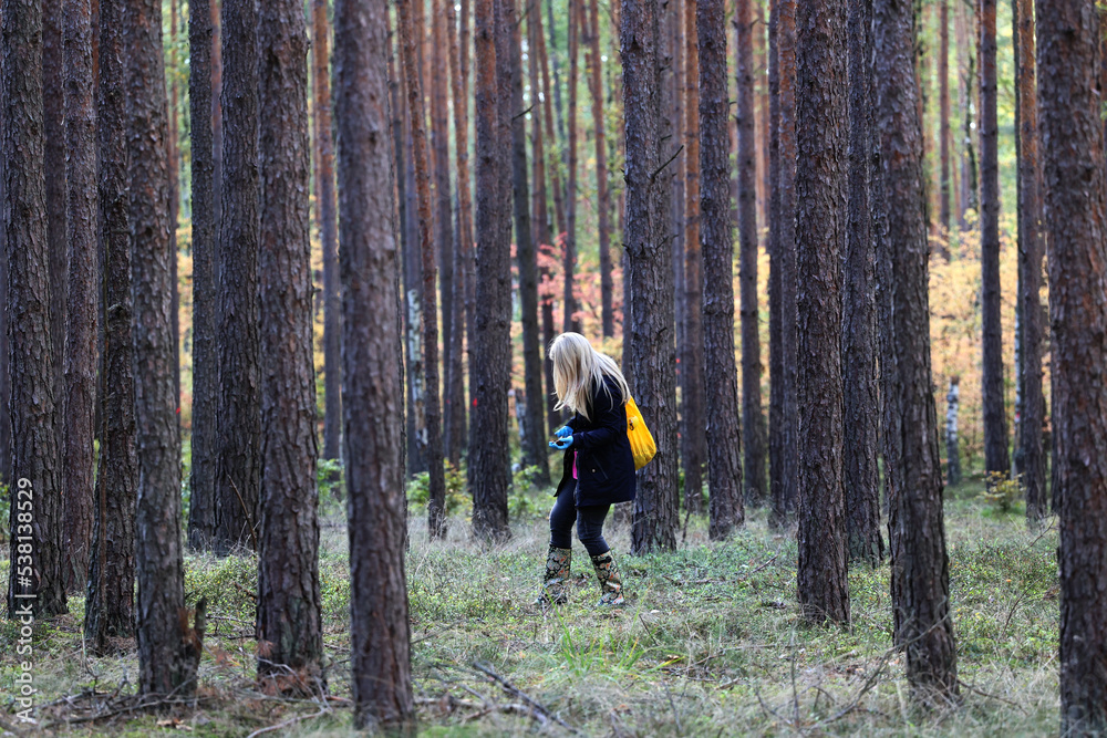 Dziewczyna blondynka zbiera grzyby jesienią w lesie - obrazy, fototapety, plakaty 
