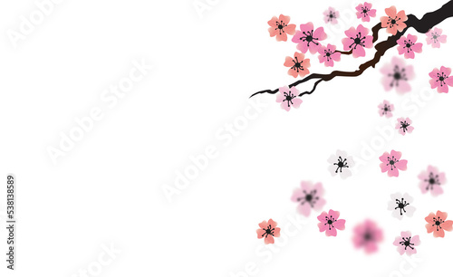 PNG Blossoming sakura branch isolated on transparent background. PNG illustration © JJIMAGE