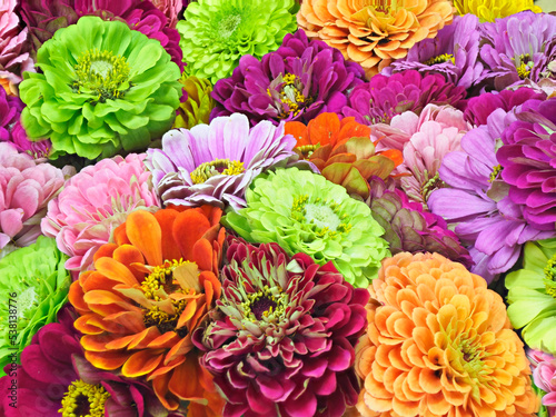 A Focus Stacked Closeup Image of Colorful Freshly Cut Flowers