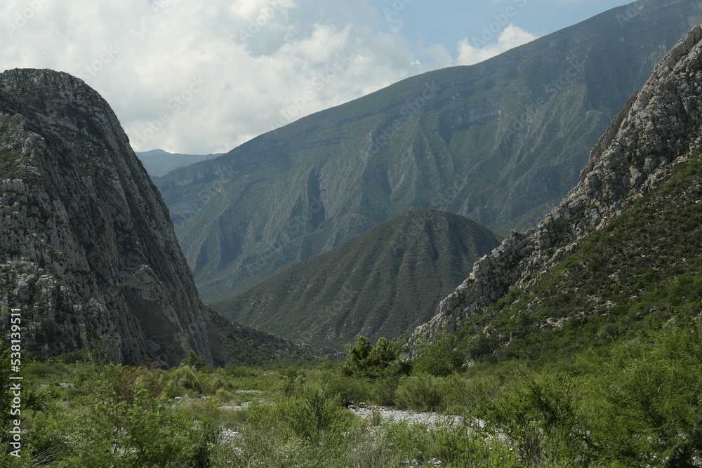 Fototapeta premium Picturesque view of beautiful mountains and plants under cloudy sky